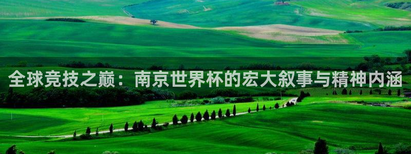 今年世界杯：全球竞技之巅：南京世界杯的宏大叙事与精神内涵