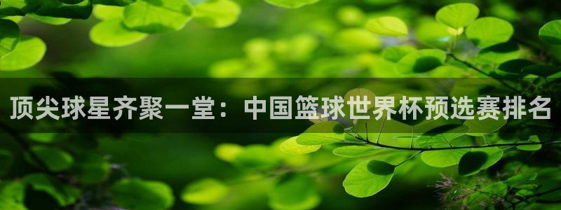 2006年世界杯冠军：顶尖球星齐聚一堂：中国篮球世界杯预选赛排名