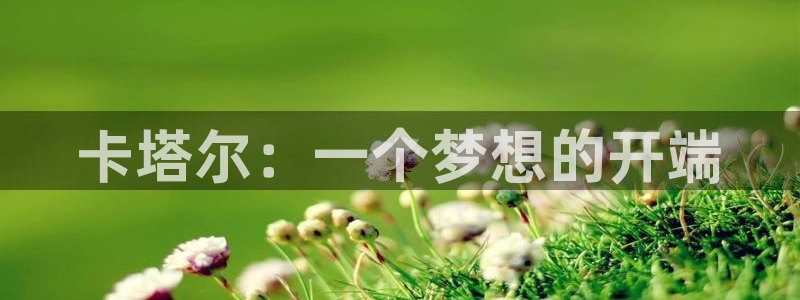 世界杯欧洲区世预赛赛程：卡塔尔：一个梦想的开端