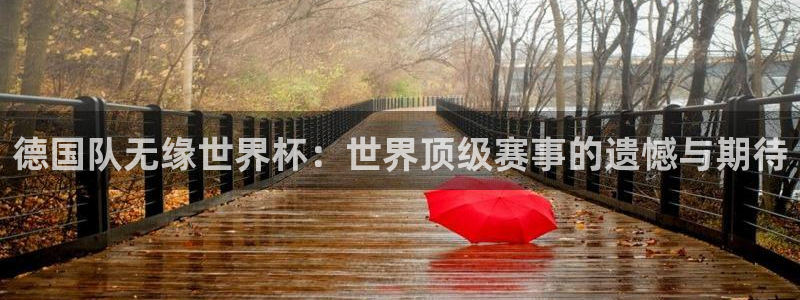 2026世界杯中国队：德国队无缘世界杯：世界顶级赛事的遗憾与期待