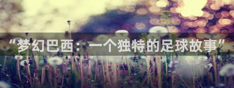 2026世界杯直播免费观看：“梦幻巴西：一个独特的足球故事”