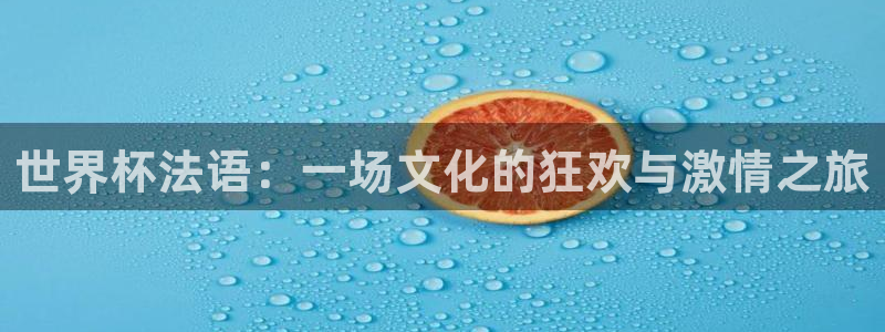2026世界杯日期：世界杯法语：一场文化的狂欢与激情之旅