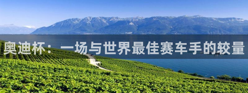 世界杯亚洲区预选赛积分榜：奥迪杯：一场与世界最佳赛车手的较量