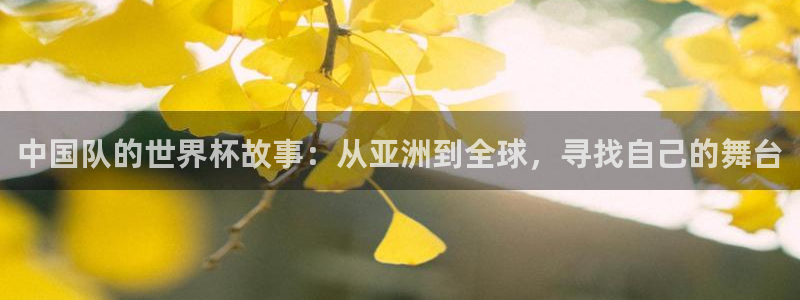 免费看足球直播比赛：中国队的世界杯故事：从亚洲到全球，寻找自己的舞台