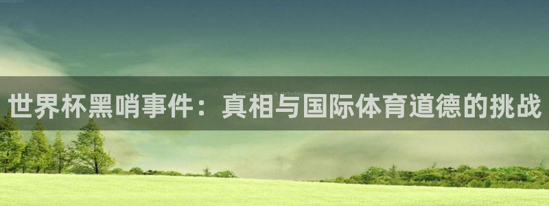 世界杯直播在线观看入口：世界杯黑哨事件：真相与国际体育道德的挑战