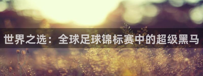 欧洲世界杯预选赛赛程：世界之选：全球足球锦标赛中的超级黑马