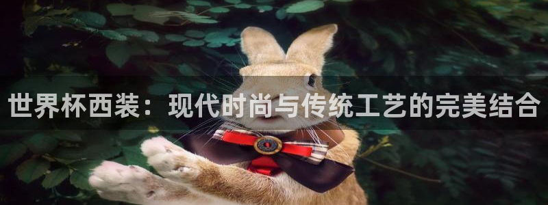 亚洲杯比赛直播：世界杯西装：现代时尚与传统工艺的完美结合