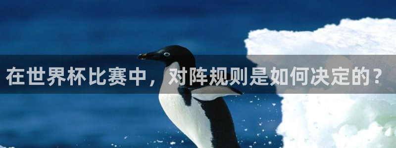 2026世界杯预选赛：在世界杯比赛中，对阵规则是如何决定的？