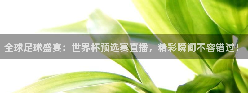 世预赛欧洲赛程表：全球足球盛宴：世界杯预选赛直播，精彩瞬间不容错过！