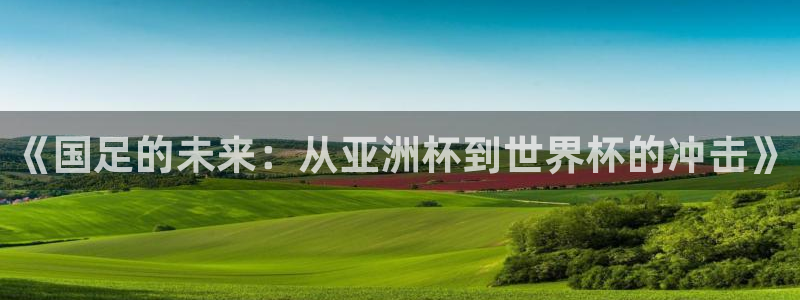 世界杯2026赛程表：《国足的未来：从亚洲杯到世界杯的冲击》