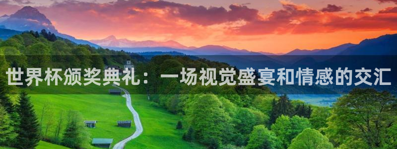 世界杯第一场比赛：世界杯颁奖典礼：一场视觉盛宴和情感的交汇