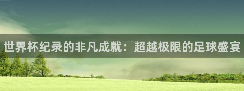 足球世预赛：世界杯纪录的非凡成就：超越极限的足球盛宴